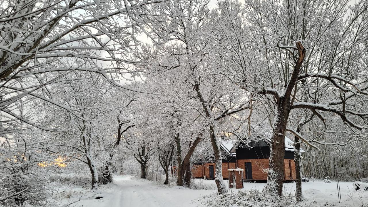 Czas Na Las Zarnowska Esterno foto